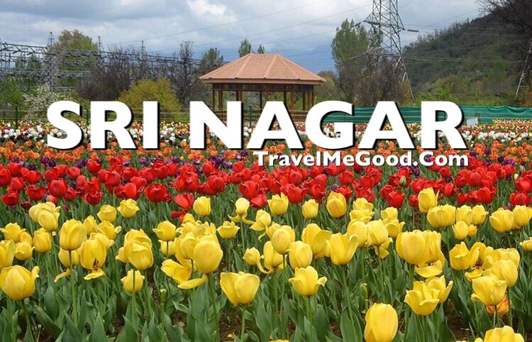 Sri Nagar, Top 10 places to visit in Jammu & Kashmir J&K, Best places, Dal lake, Delhi to Sri Nagar Jammu kashmir, Bus on rent, Car on rent, Bus on hire